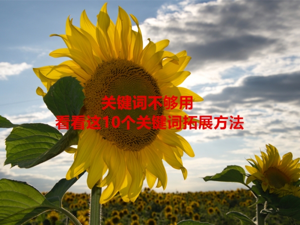 關鍵詞不夠用，看看這10個關鍵詞拓展方法！